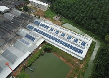 GreenYellow join forces with Woodwork Company in utilizing solar power