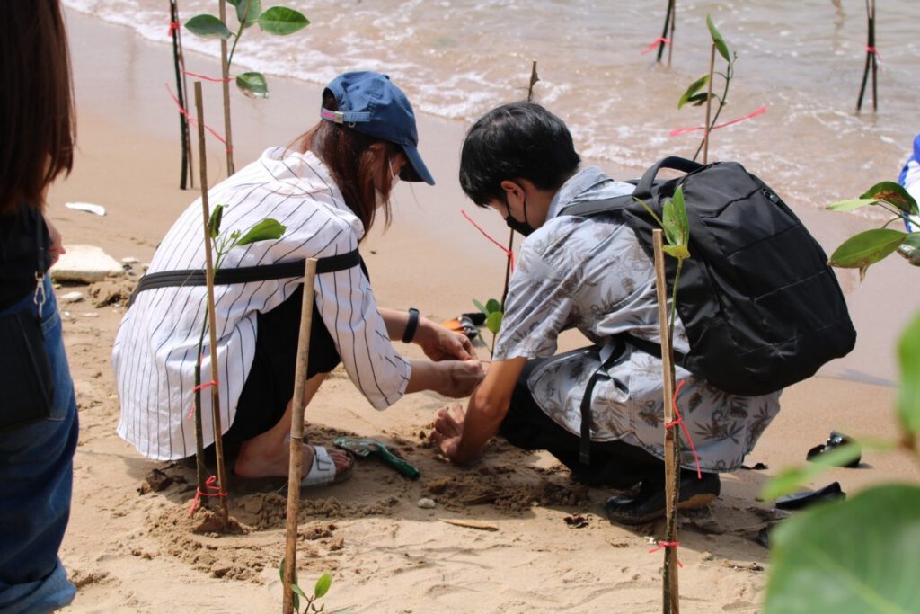 GY Mangrove planting 2022 - 5