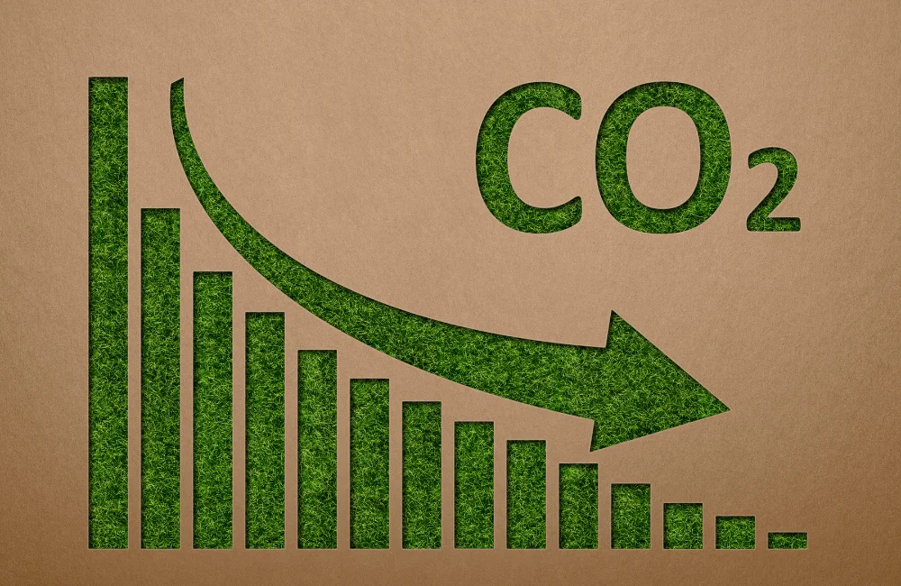 Net Zero ต่างจาก Carbon Neutrality อย่างไร