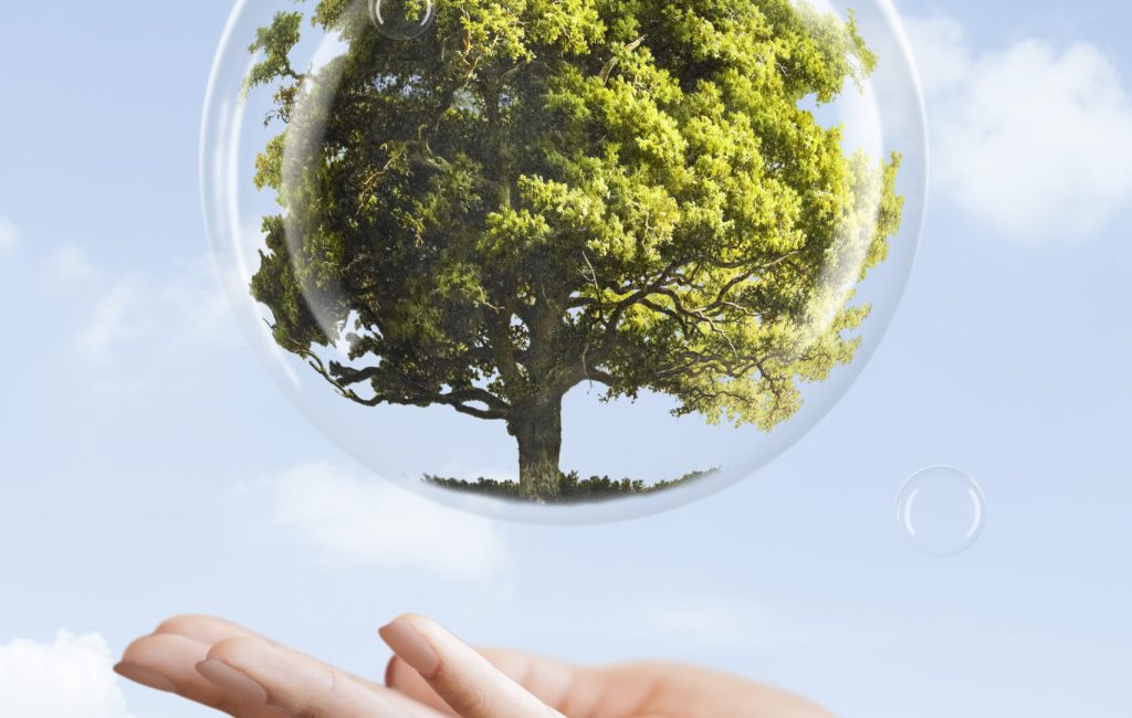 Earth day campaign hand showing tree in a bubble media mix