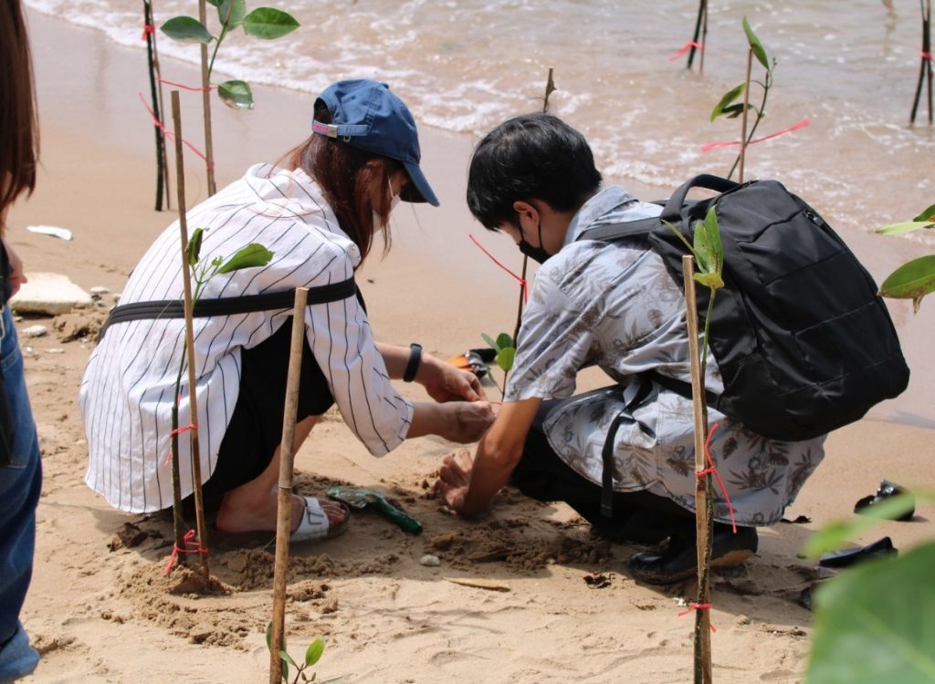 GY Mangrove planting 2022 - 5